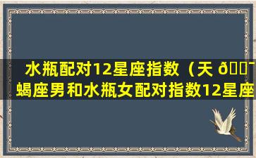 水瓶配对12星座指数（天 🐯 蝎座男和水瓶女配对指数12星座排 🍁 行）